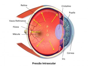 O que é a Pressão Intra-ocular ou Tensão Ocular? — ilustração