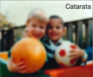 Catarata — ilustração